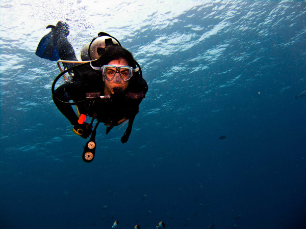 A scuber diver descends