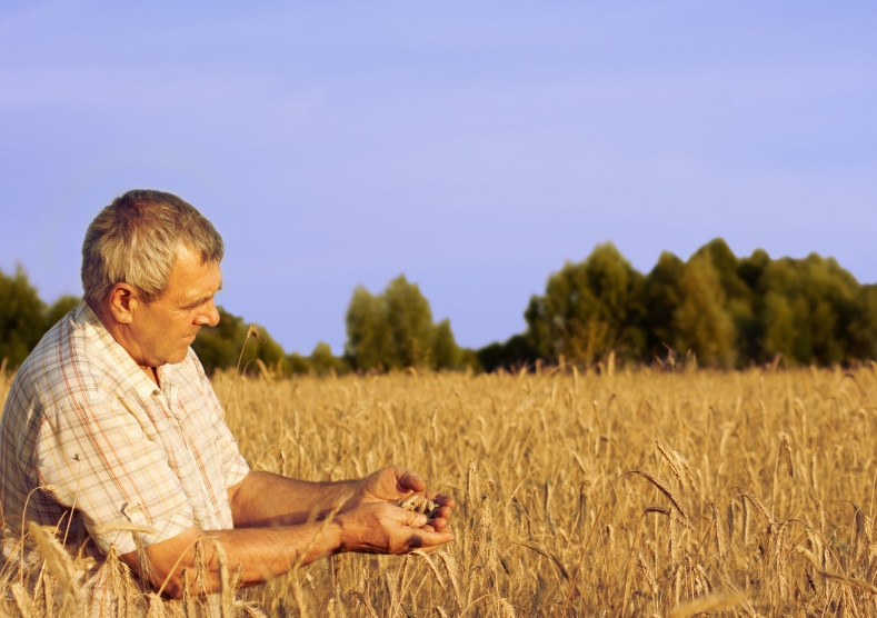 A person working in a agricultural field